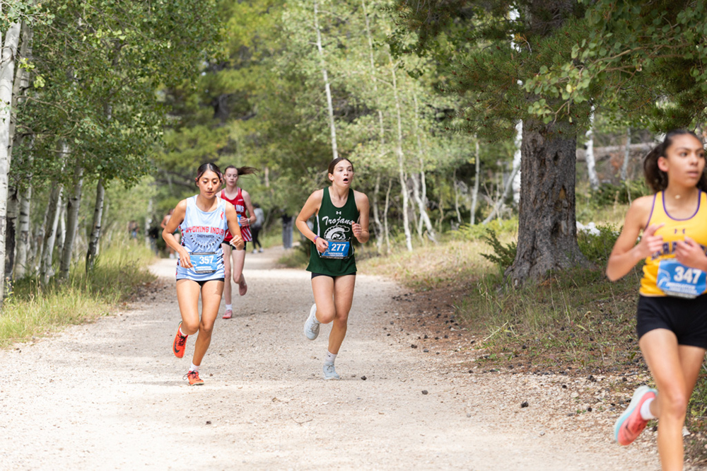 %_tempFileName1M6A7747%