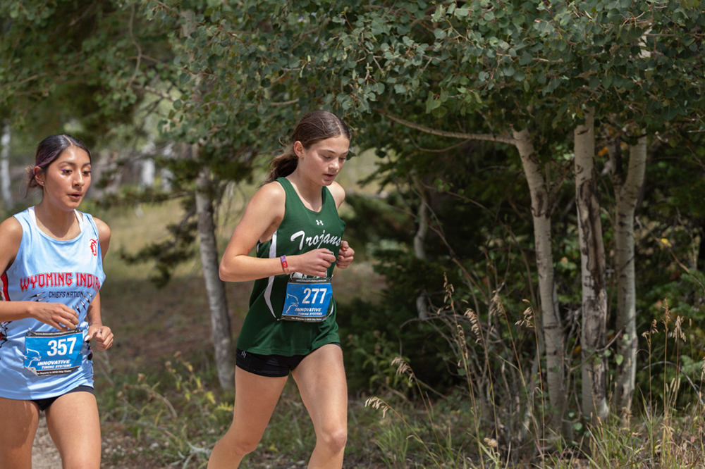 %_tempFileName1M6A7779%