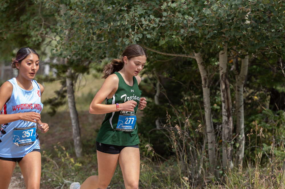 %_tempFileName1M6A7780%