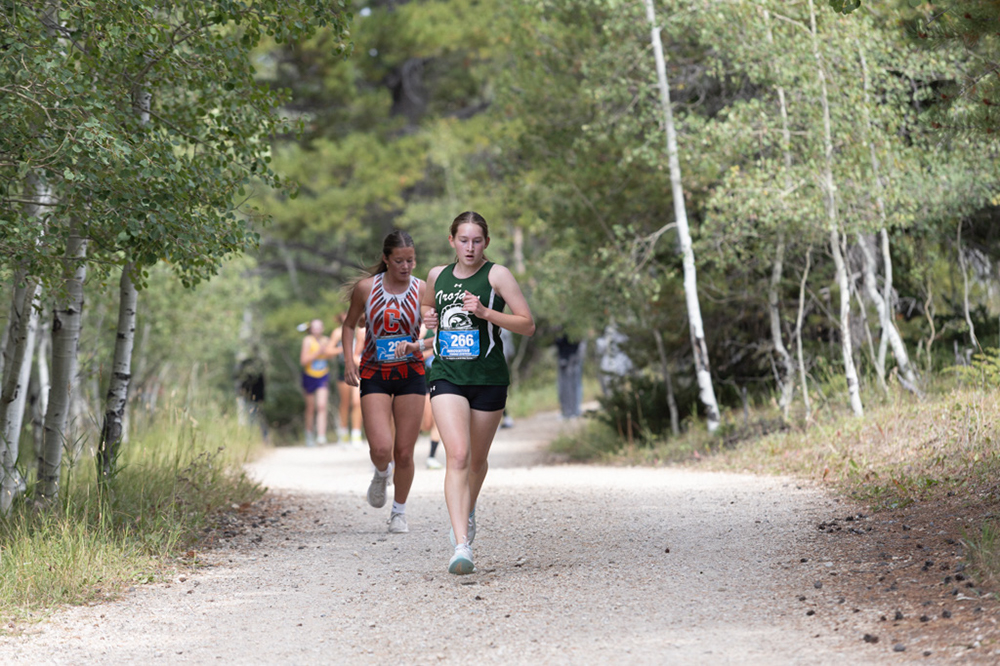 %_tempFileName1M6A7787%