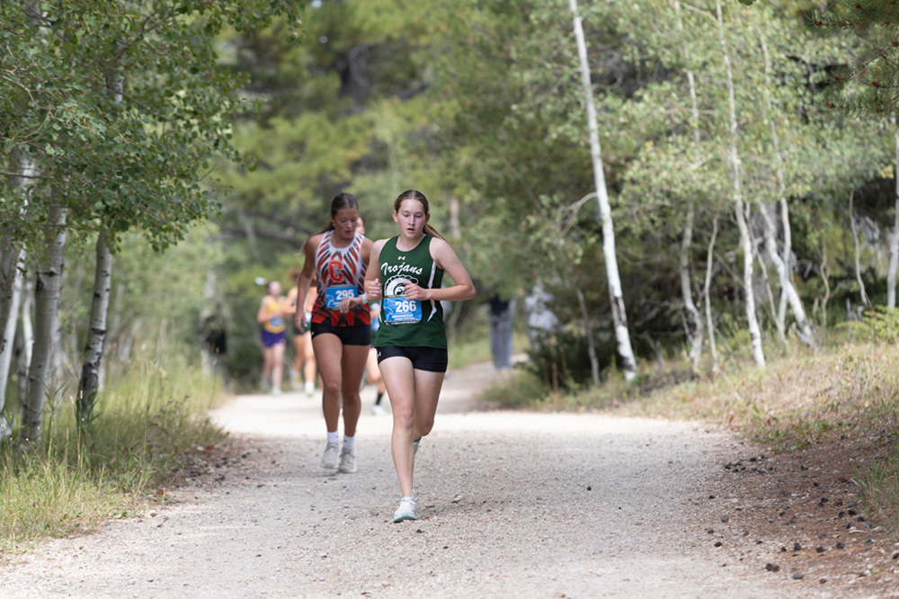 %_tempFileName1M6A7788%