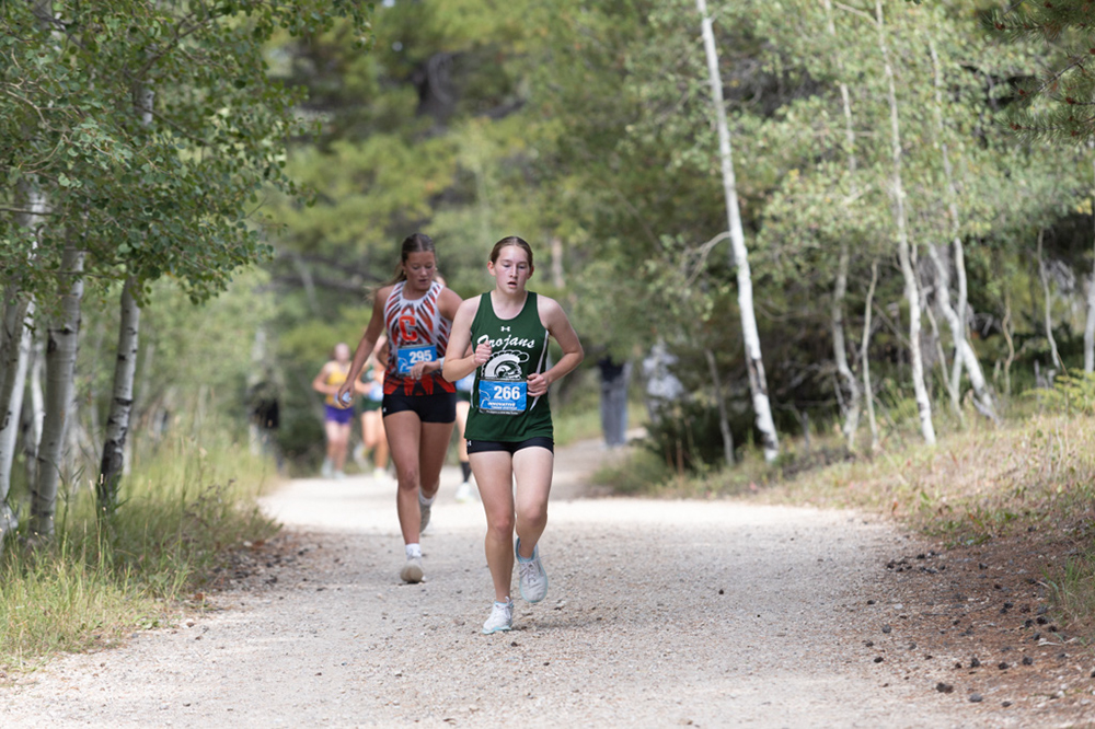 %_tempFileName1M6A7790%