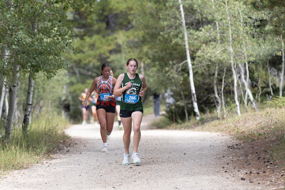 %_tempFileName1M6A7791%