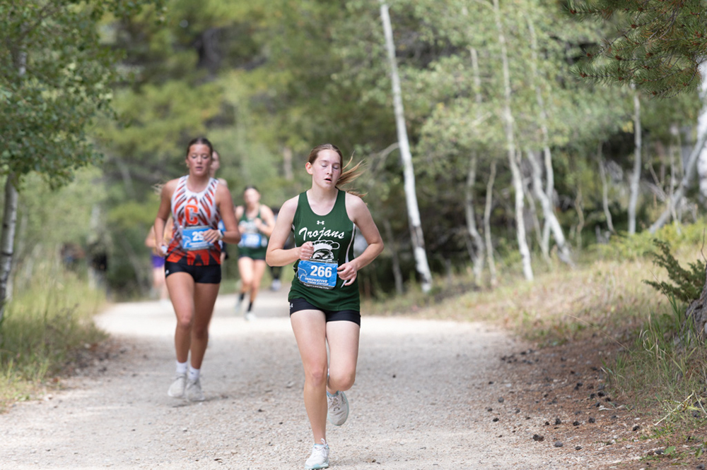 %_tempFileName1M6A7799%