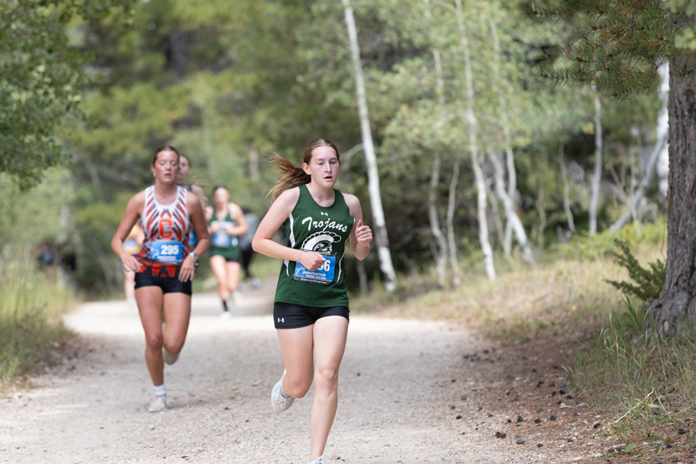 %_tempFileName1M6A7803%