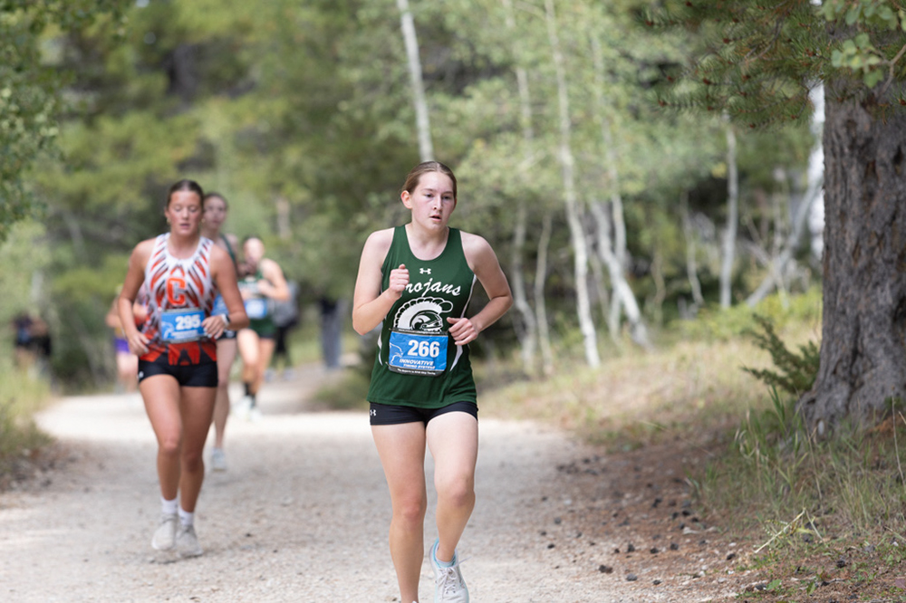 %_tempFileName1M6A7810%