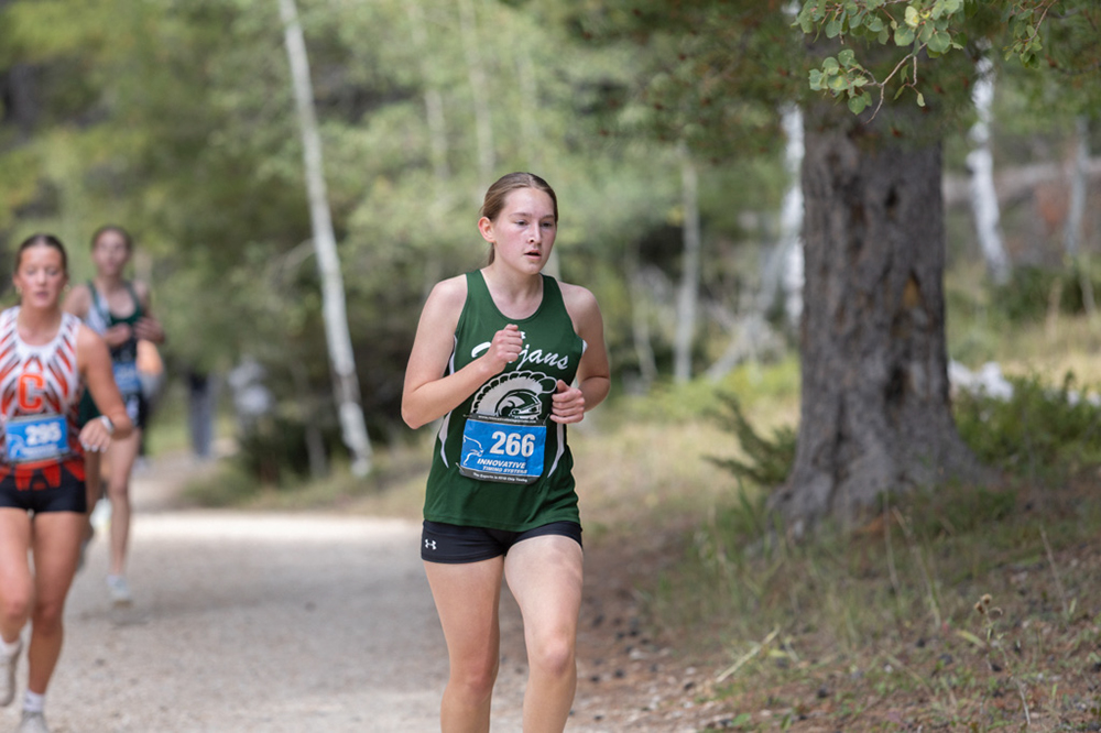 %_tempFileName1M6A7815%