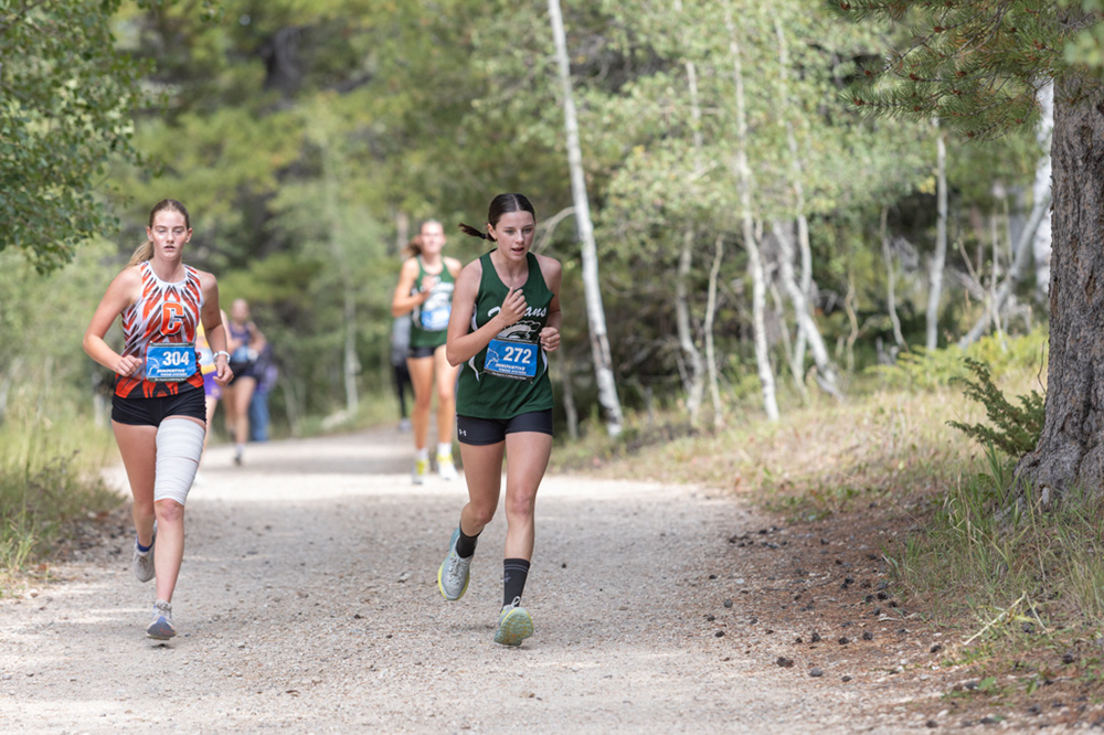 %_tempFileName1M6A7831%