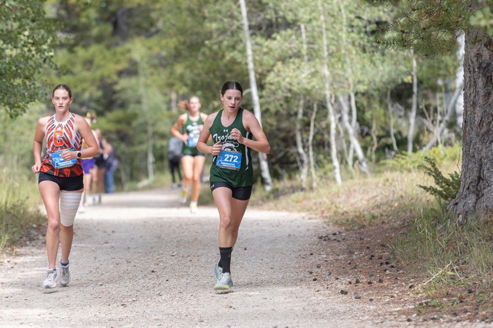 %_tempFileName1M6A7835%