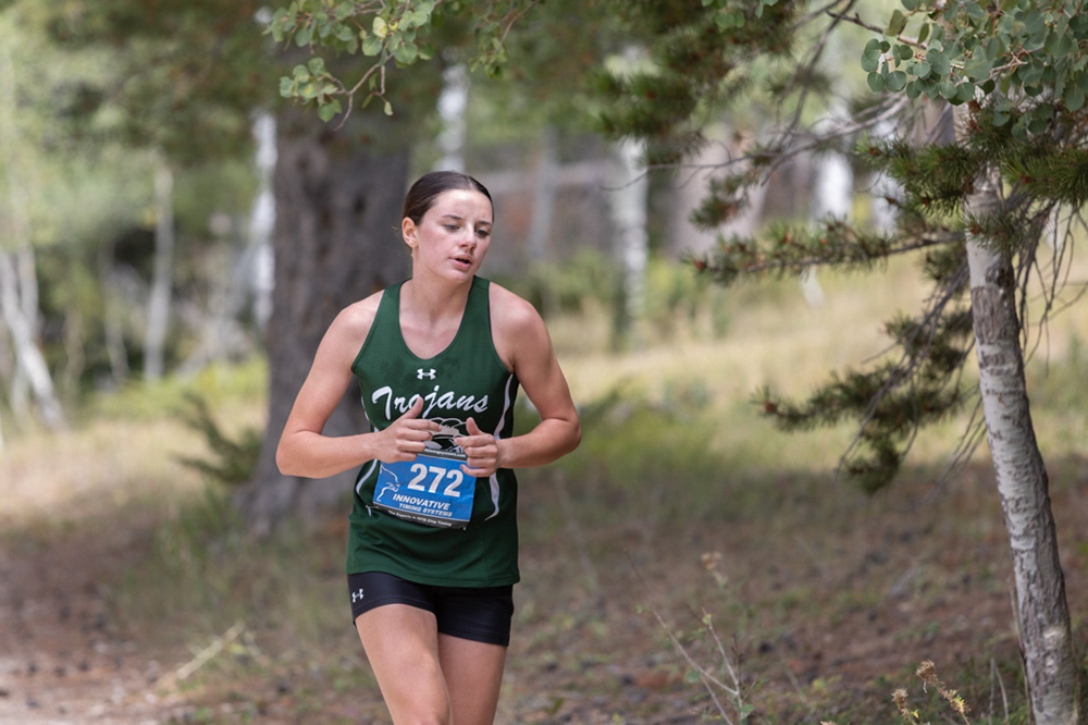 %_tempFileName1M6A7856%