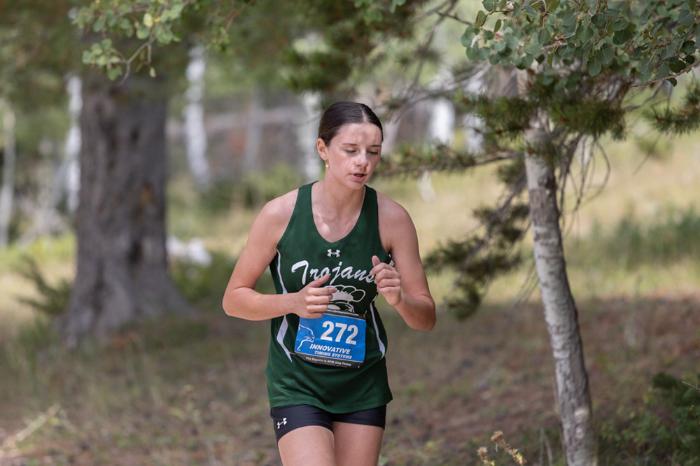 %_tempFileName1M6A7863%