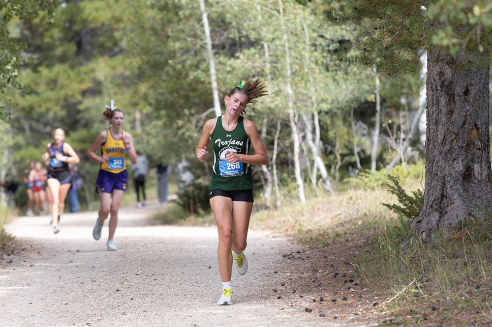 %_tempFileName1M6A7868%