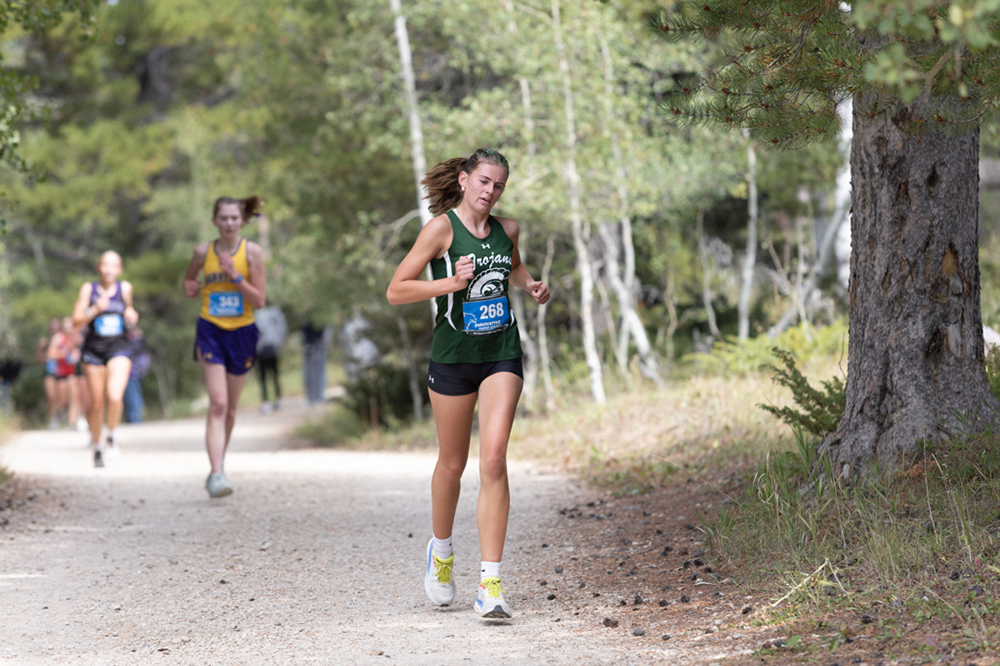 %_tempFileName1M6A7871%