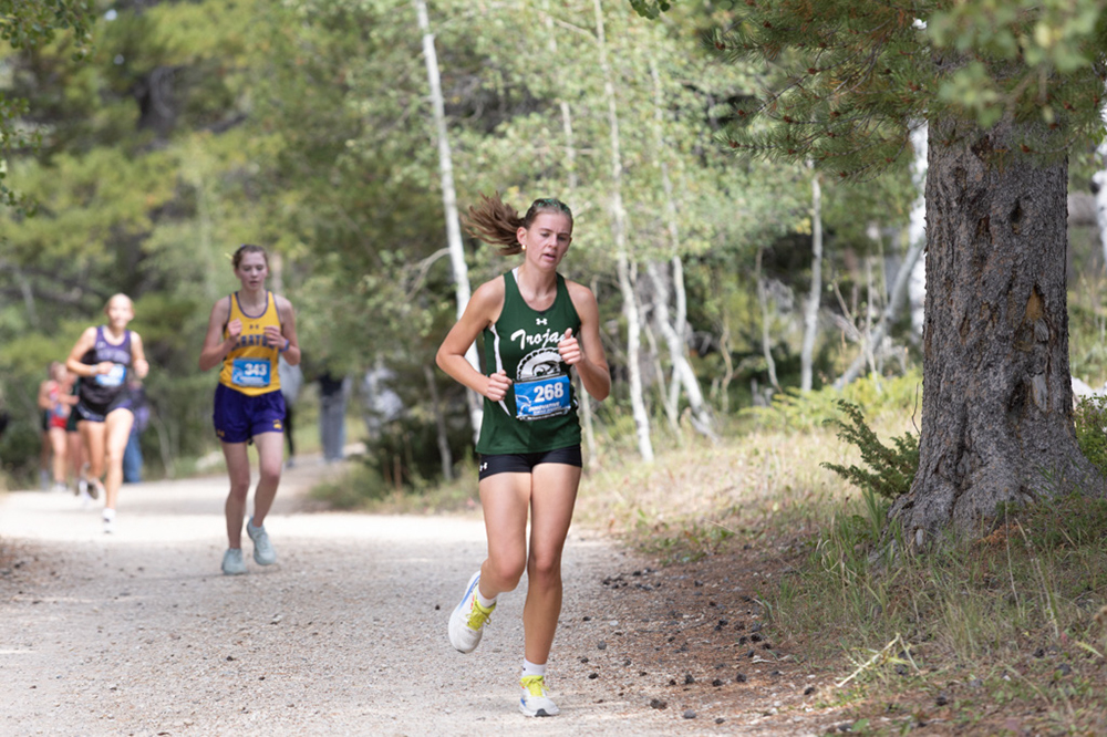 %_tempFileName1M6A7874%