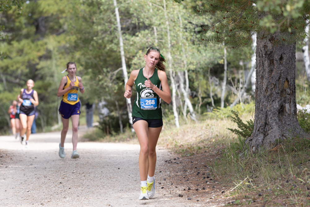 %_tempFileName1M6A7876%