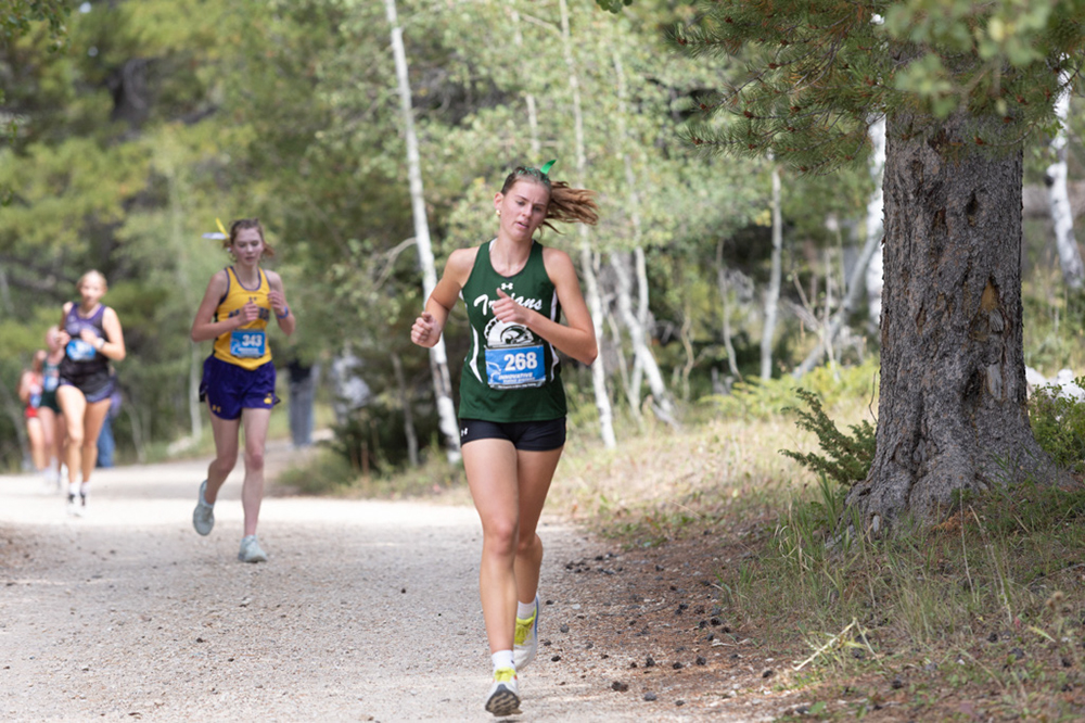 %_tempFileName1M6A7877%