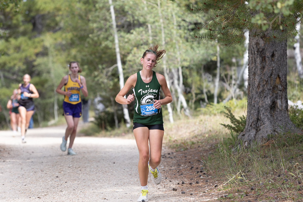 %_tempFileName1M6A7879%