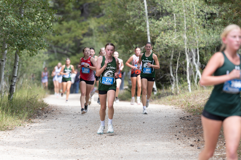 %_tempFileName1M6A7891%