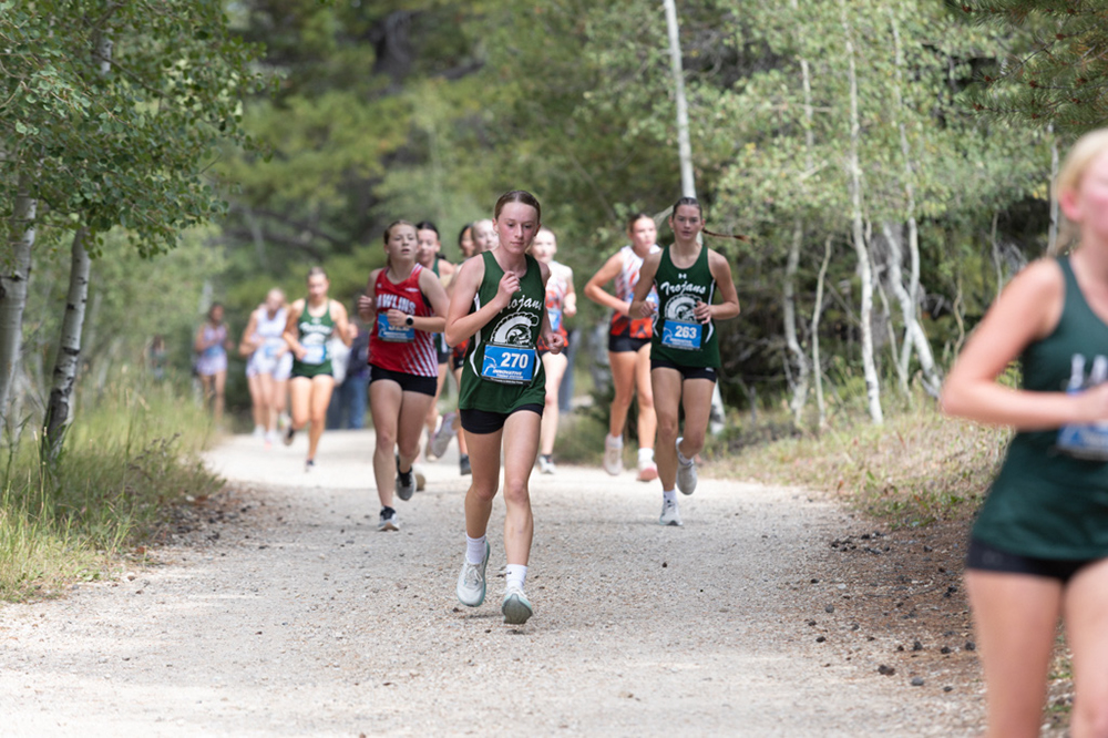 %_tempFileName1M6A7892%