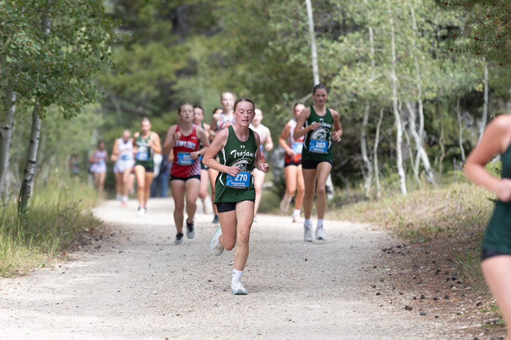 %_tempFileName1M6A7894%