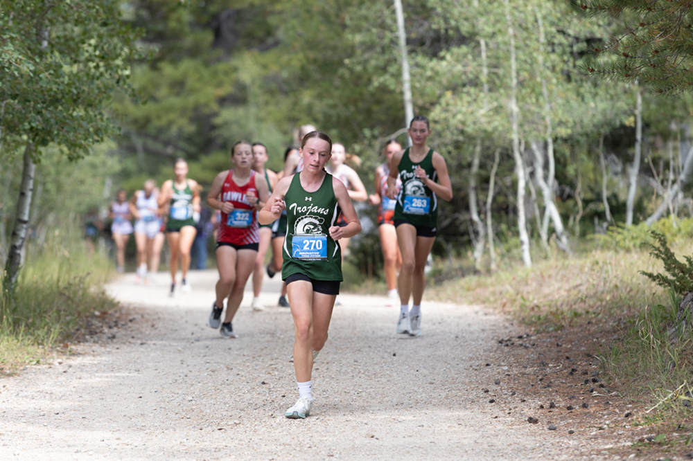 %_tempFileName1M6A7899%