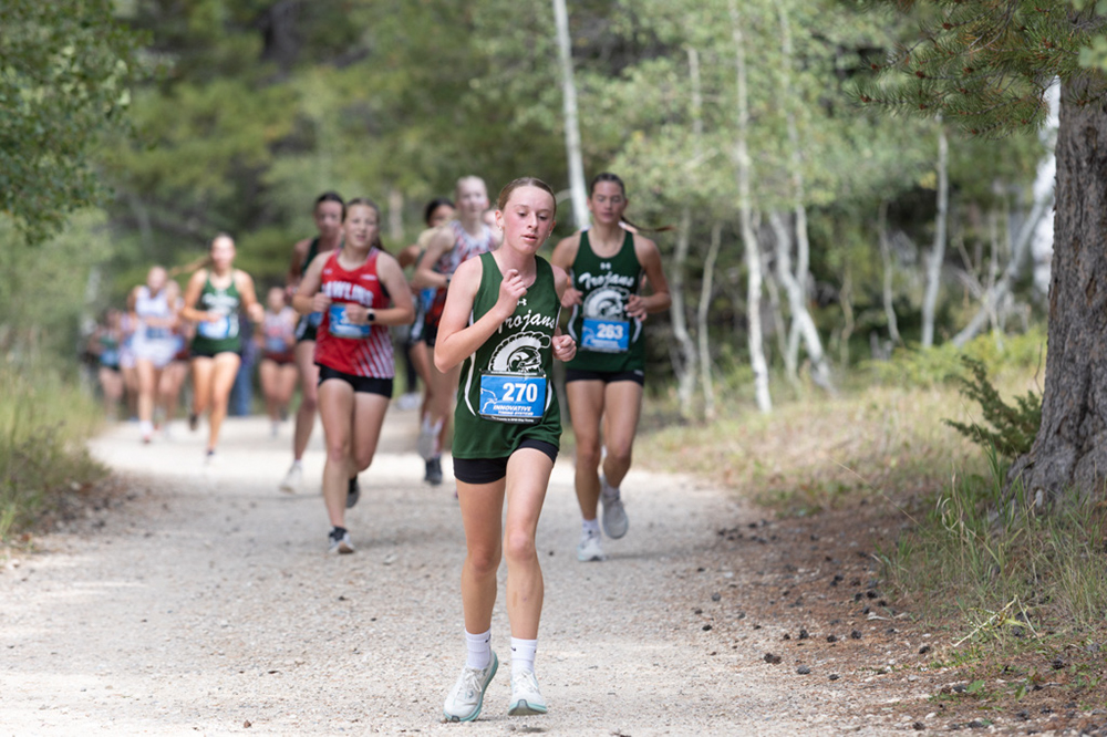 %_tempFileName1M6A7901%