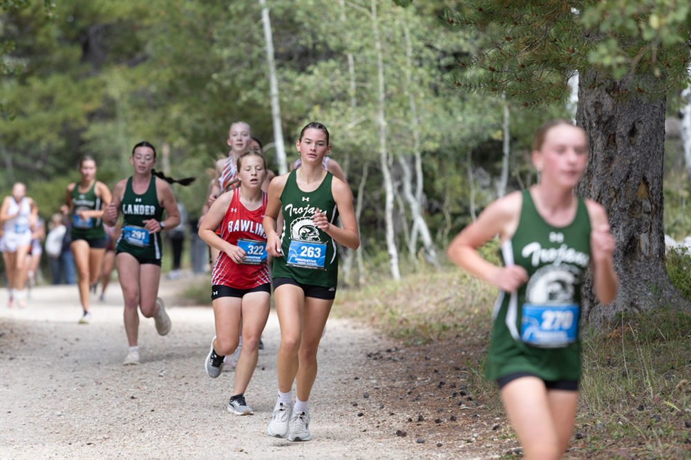 %_tempFileName1M6A7906%