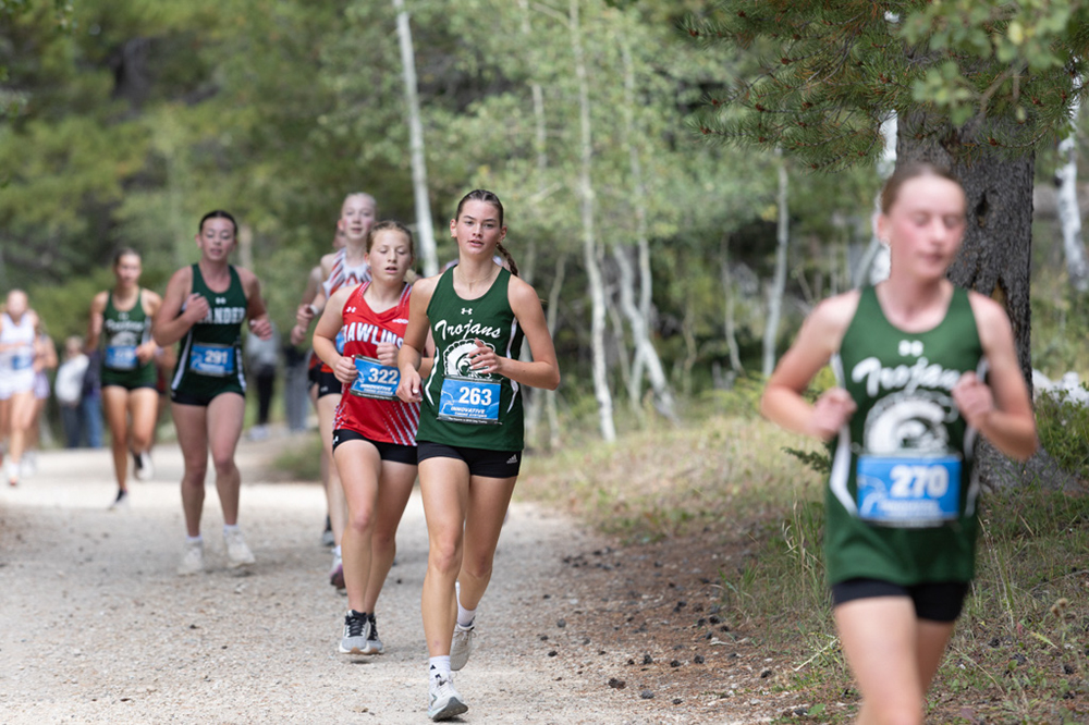 %_tempFileName1M6A7908%