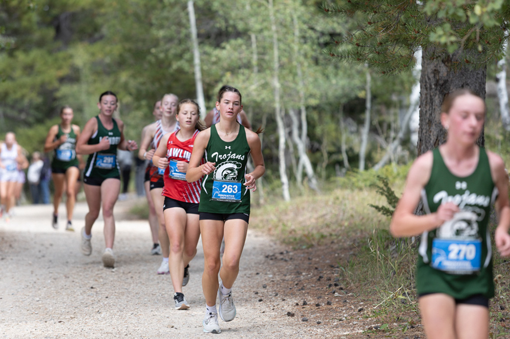 %_tempFileName1M6A7910%