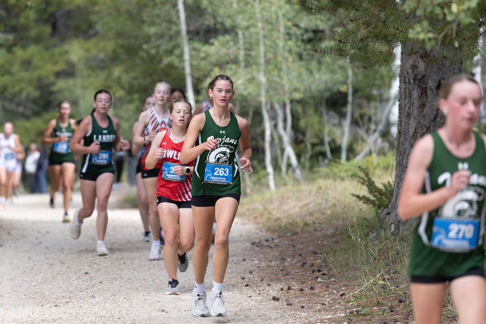 %_tempFileName1M6A7911%