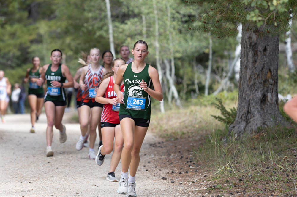 %_tempFileName1M6A7916%