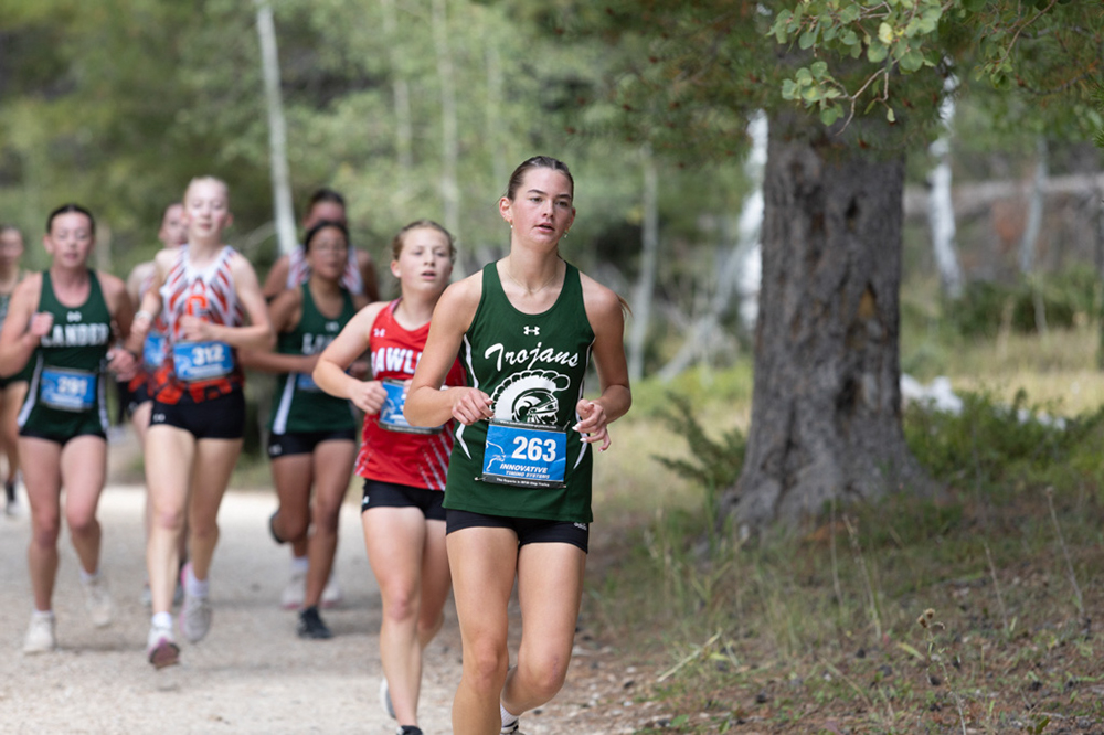 %_tempFileName1M6A7924%