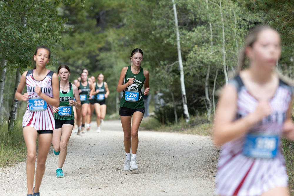 %_tempFileName1M6A7954%