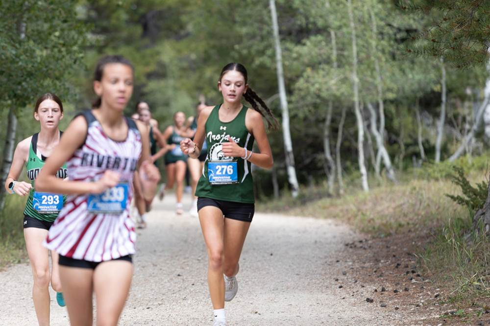 %_tempFileName1M6A7971%