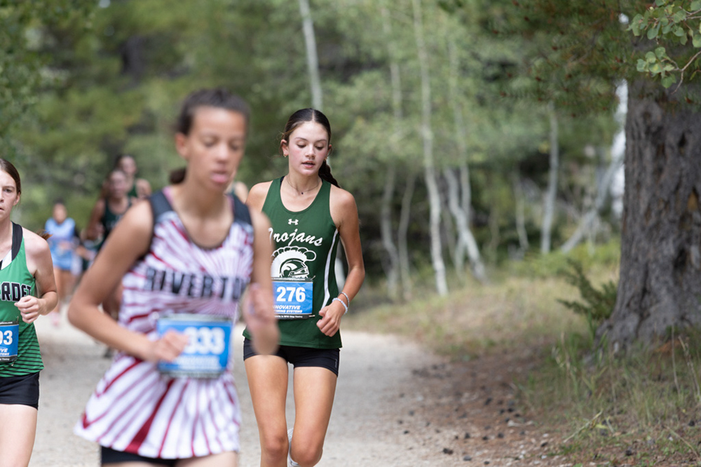 %_tempFileName1M6A7978%