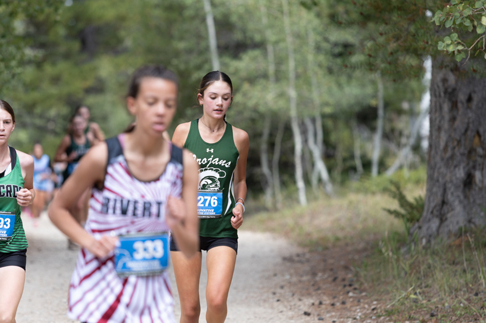 %_tempFileName1M6A7979%