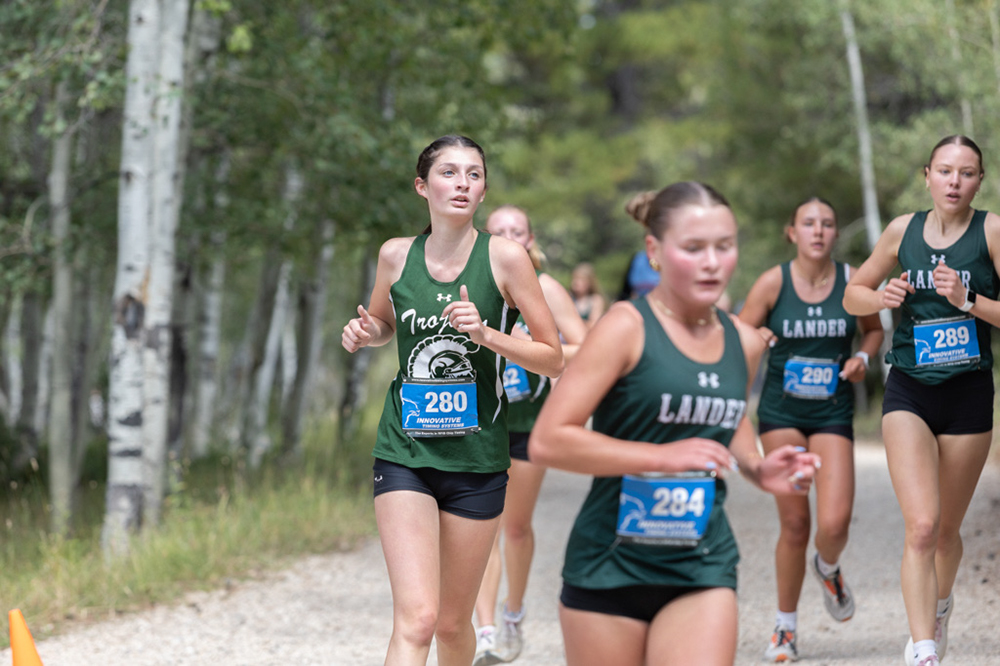 %_tempFileName1M6A7990%