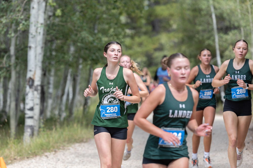 %_tempFileName1M6A7991%