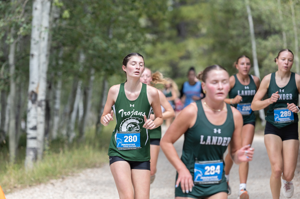 %_tempFileName1M6A7992%