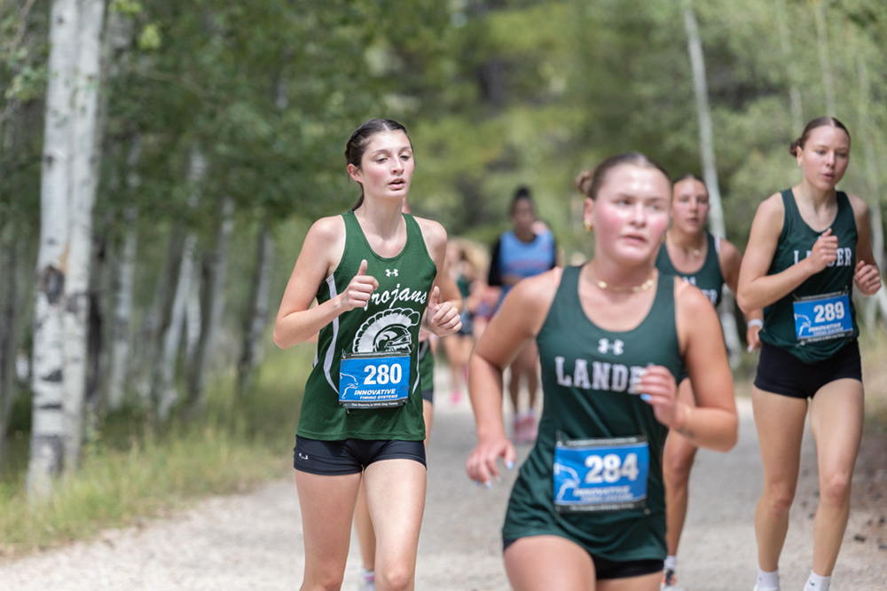 %_tempFileName1M6A7994%