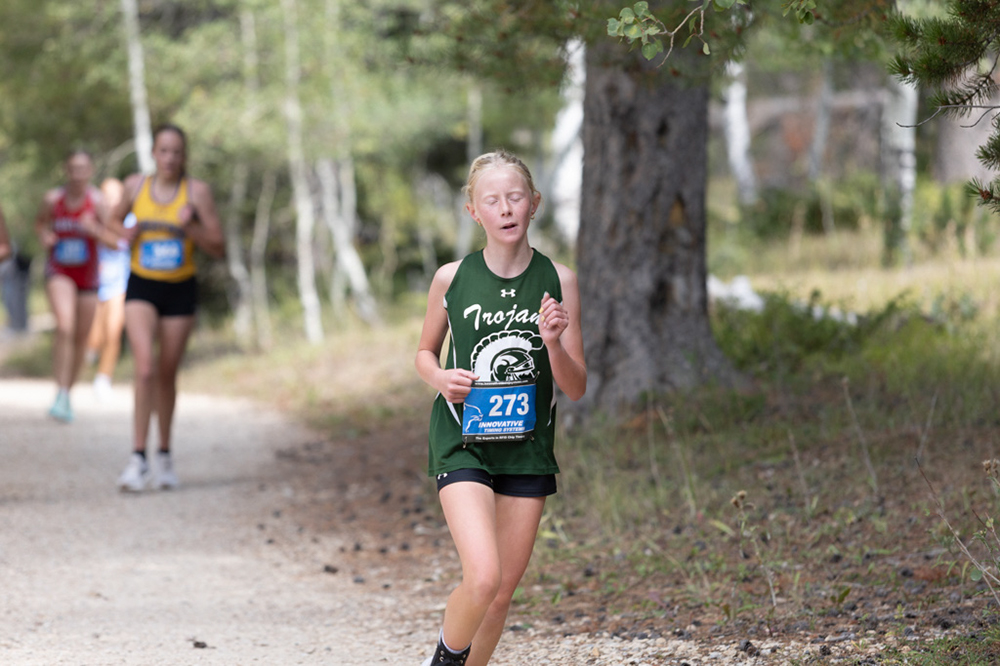 %_tempFileName1M6A8016%