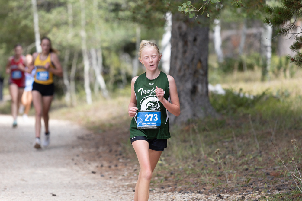 %_tempFileName1M6A8017%