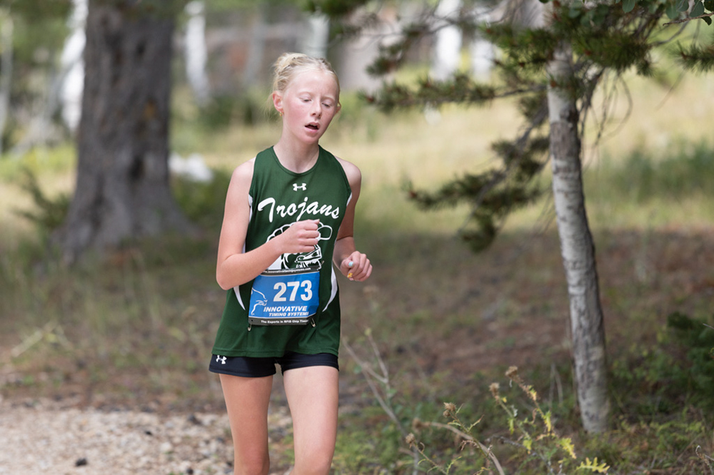 %_tempFileName1M6A8031%