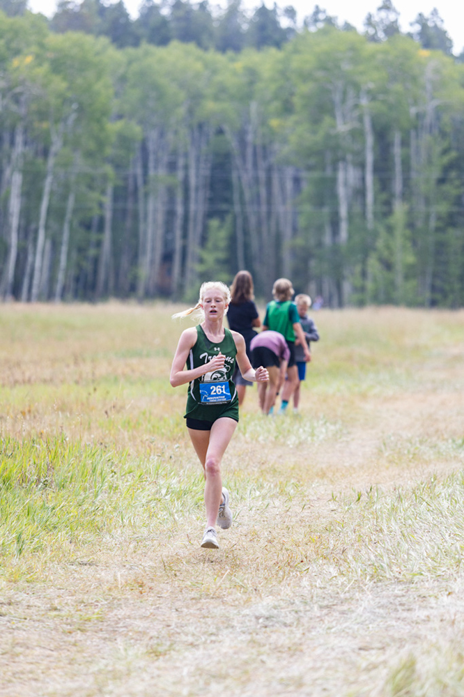 %_tempFileName1M6A8071%