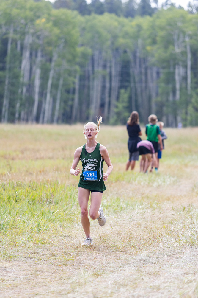 %_tempFileName1M6A8078%