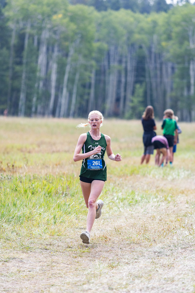 %_tempFileName1M6A8081%