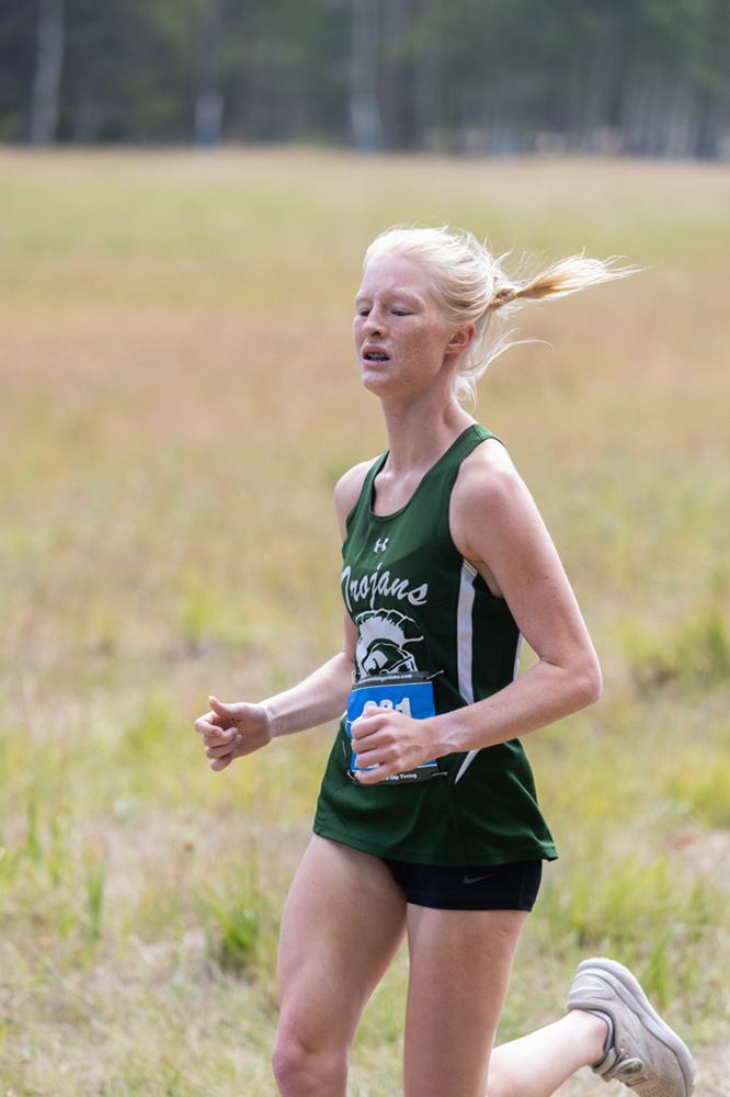 %_tempFileName1M6A8117%