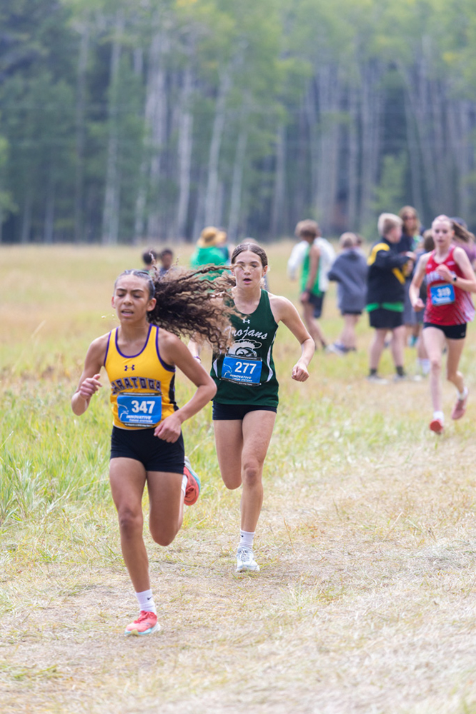 %_tempFileName1M6A8121%