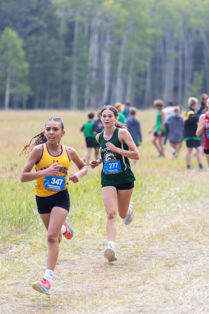 %_tempFileName1M6A8125%