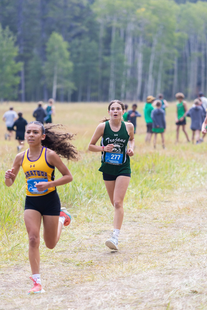 %_tempFileName1M6A8131%